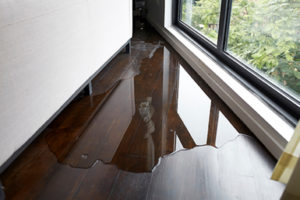 Water Damage Cleanup Greensboro